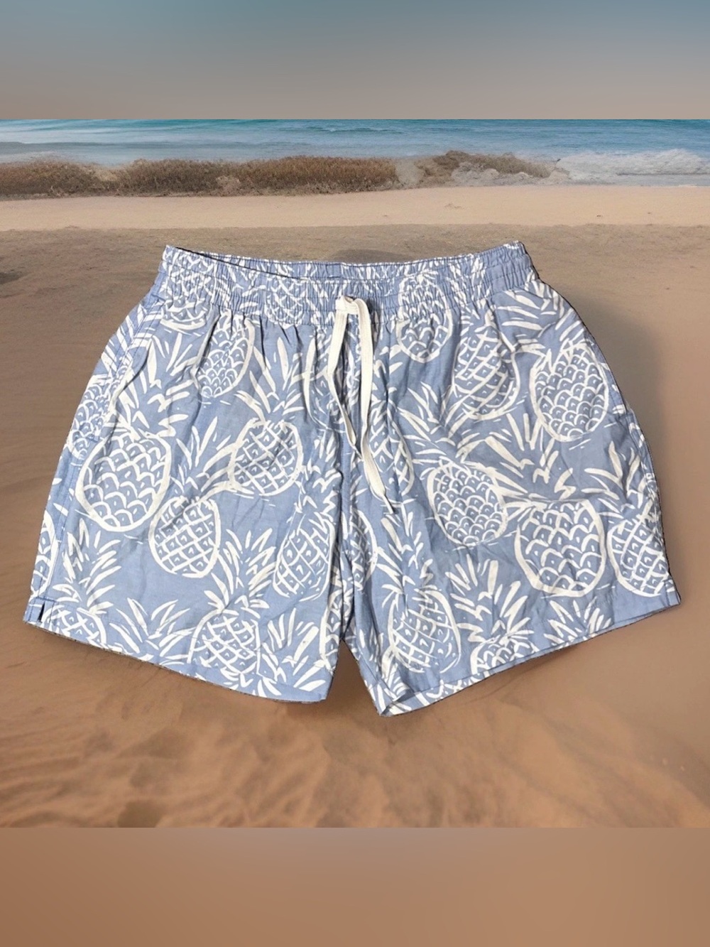 Chubbies Thigh Napples Swim Trunks Mesh Lined Pineapple Shorts 5.5” Mens Sz M